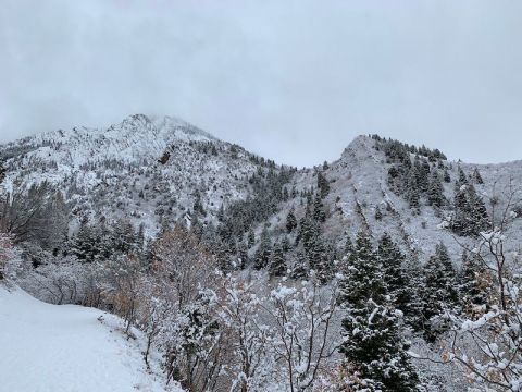 The Neffs Canyon Trail In Utah Completely Transforms In The Winter Months