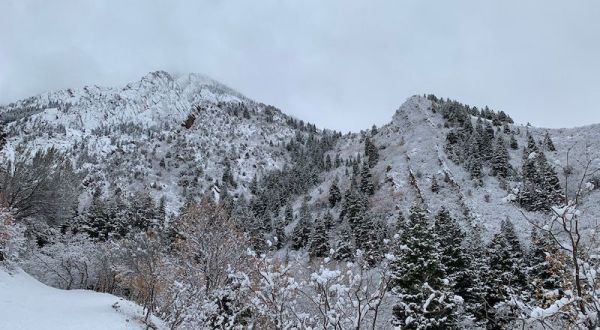 The Neffs Canyon Trail In Utah Completely Transforms In The Winter Months