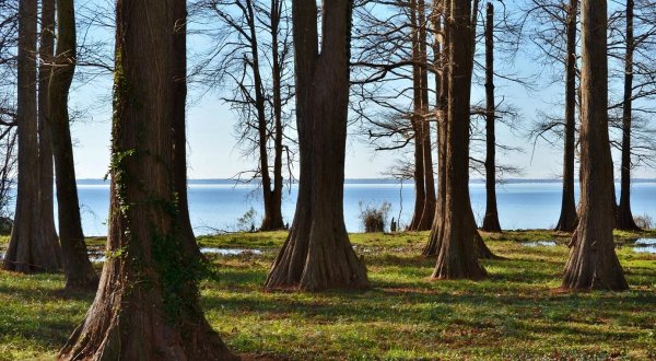Beautiful Lake Phelps, The 2nd Largest Natural Lake In North Carolina, Is Nestled Along The Coast