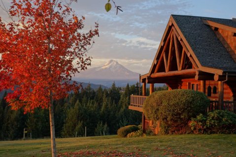 Surround Yourself With Apple Blossoms, Grazing Sheep, And Epic Mountain Views At This Cozy B&B In Oregon