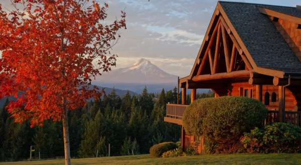 Surround Yourself With Apple Blossoms, Grazing Sheep, And Epic Mountain Views At This Cozy B&B In Oregon