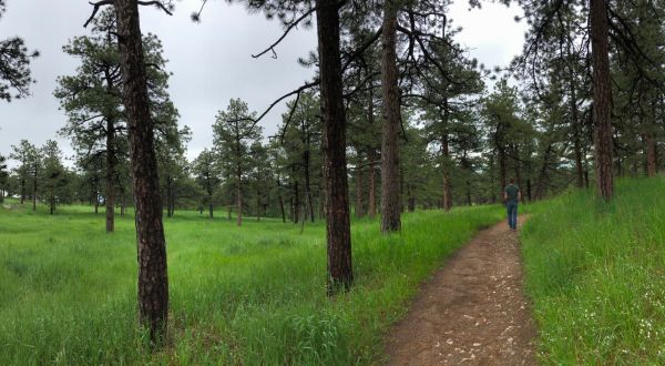 The Easy 1.6-Mile Colorow Mountain Forest Loop Will Lead You Through The Colorado Forest