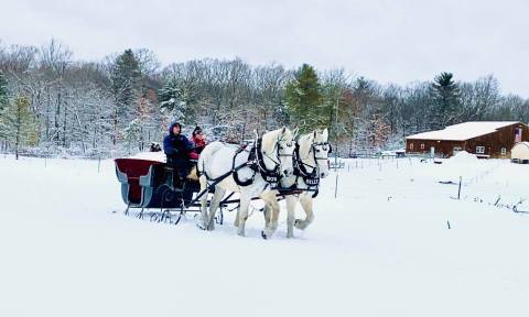 This Quaint Sleigh Ride Through Rhode Island's Countryside Is A Magnificent Way To Take It All In