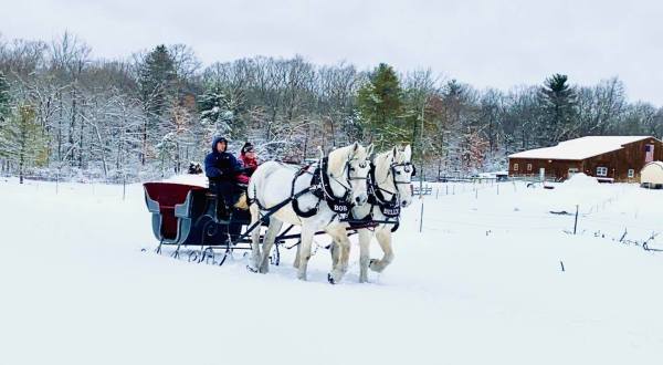 This Quaint Sleigh Ride Through Rhode Island’s Countryside Is A Magnificent Way To Take It All In