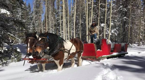 The 45-Minute Sleigh Ride At Snowy Mountain Stables In Arizona Takes You Through A Winter Wonderland