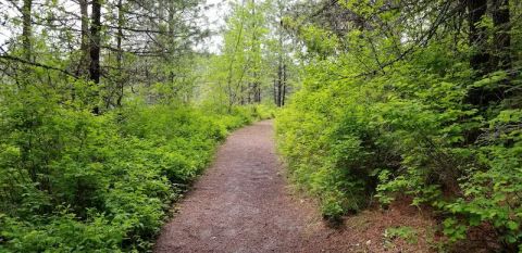 The One Loop Trail In Idaho That's Perfect For A Short Day Hike, No Matter What Time Of Year