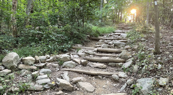 Hike This Stairway To Nowhere In Maryland For A Magical Woodland Adventure