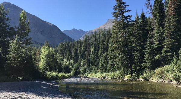 If There Are Only 5 Family Hikes You Ever Take In Montana, Follow These Easy Trails