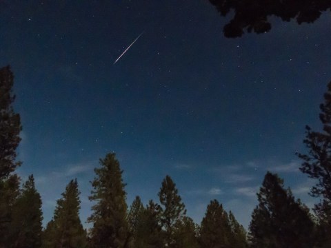 4 Celestial Events In Mississippi To Add To Your 2022 Stargazing Calendar