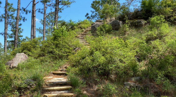 Take A Hidden Staircase To A Louisiana Overlook That’s Like Nothing You’ve Ever Seen Before