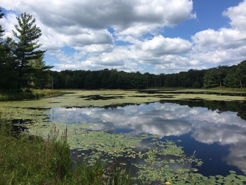 7 Pennsylvania Trails That Lead To Simply Spectacular Lake Views