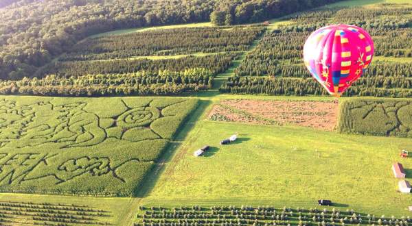 Take A Scenic Hot Air Balloon Ride Over The Rolling Hills Of Chester County