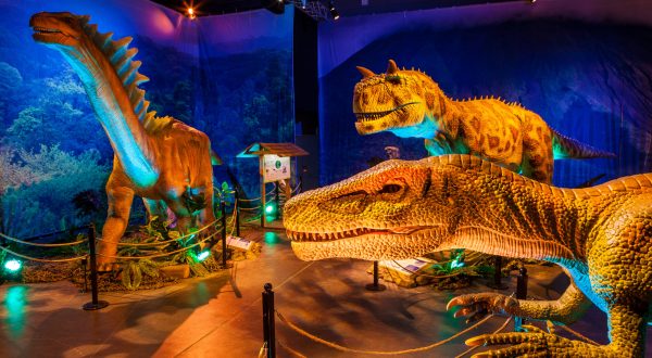The Indoor Dino Safari In Florida Will Take You Back To The Prehistoric Ages