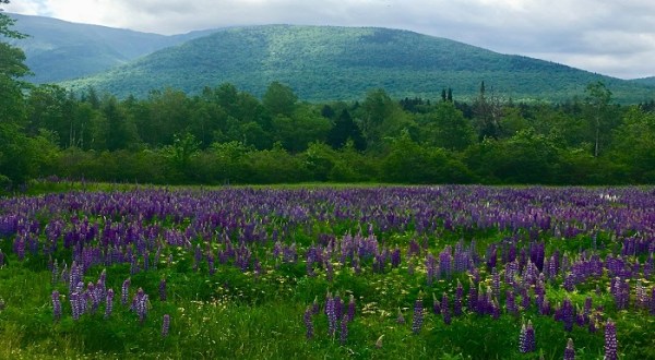 An 83-Mile Hiking Trail Connects 10 Marvelous Small Towns In New Hampshire
