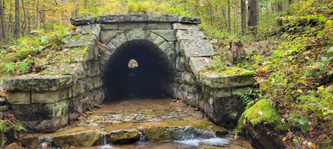 There's An Abandoned Aqueduct In Pennsylvania That Was Never Completed And It's Eerily Fascinating