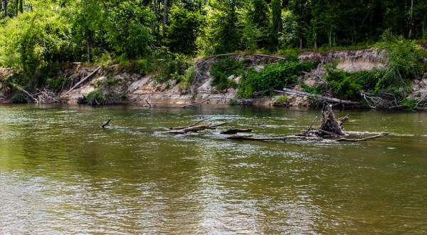 Bogue Chitto Is A Little-Known Park In Louisiana That Is Perfect For Your Next Outing