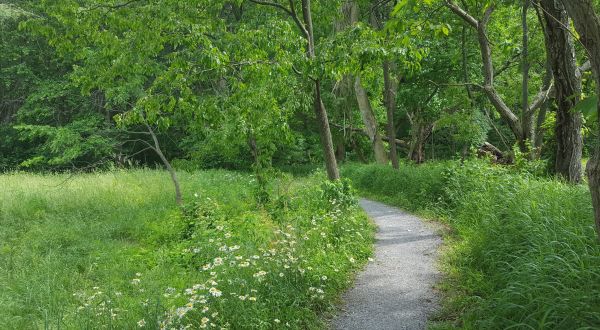 Explore A New Side Of White Clay Creek State Park With Whitely Farms Trail, A Special Horseback Riding In Delaware