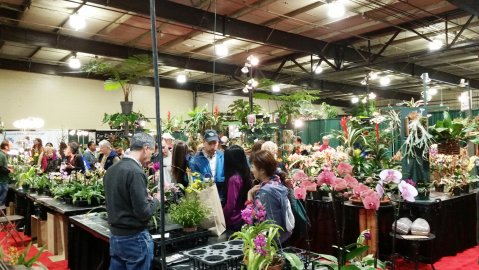 There Is A Massive Home, Garden, & Craft Show Headed To Maryland In March