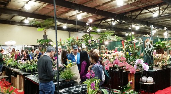 There Is A Massive Home, Garden, & Craft Show Headed To Maryland In March