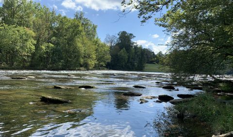 The Watauga River Bluffs Trail In Tennessee Is A 2-Mile Out-And-Back Hike With A Waterfront Finish