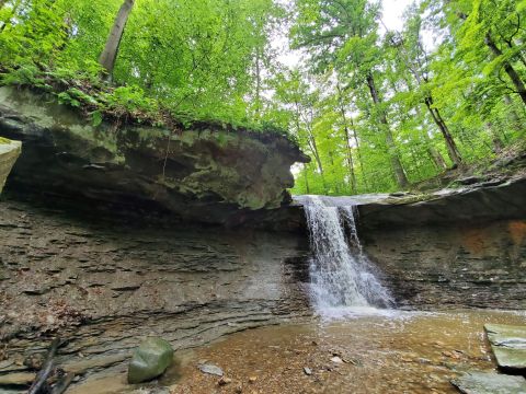 Blue Hen Falls Is A Unique Dog-Friendly Destination Near Cleveland Perfect For An Outdoor Adventure