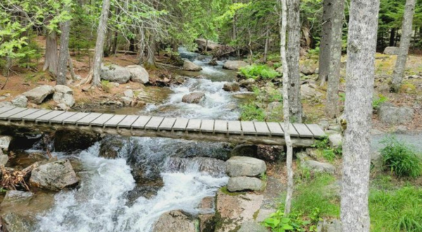 This Acadia National Park Trail Leads Through The Forest And Past A Waterfall For An Exhilarating Maine Day