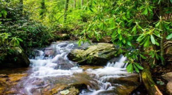 If There Are Only 5 Family Hikes You Ever Take In North Carolina, Follow These Easy Trails