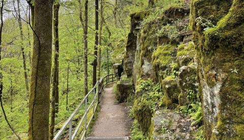 The Easy 1.8-Mile Cedar Sink Trail Will Lead You Through The Kentucky Forest