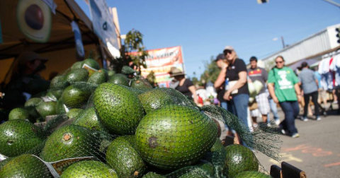 There Is A Massive Avocado Festival Headed To Southern California In April