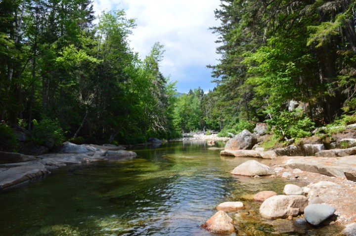 Upstream view of the Ammonoosuc River in New Hampshire with trees on both sides