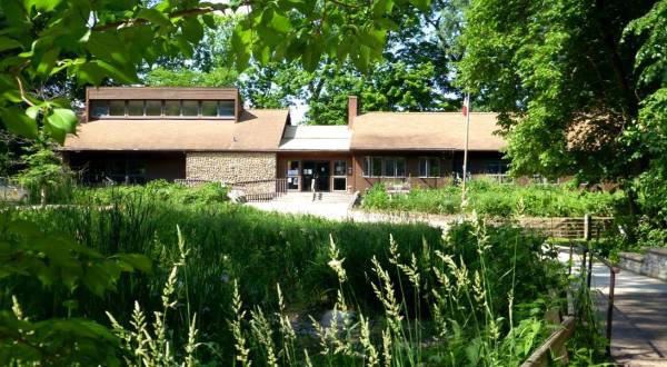 Soak Your Stress Away In The Forests Of Iowa’s Cedar Falls At Hartman Reserve Nature Center