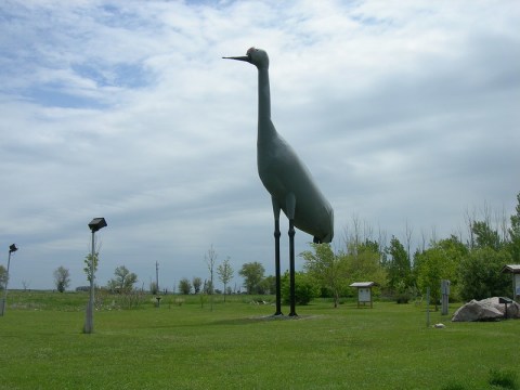 Here’s The Story Behind The Massive Sandhill Crane Statue In North Dakota