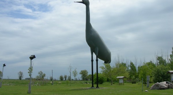 Here’s The Story Behind The Massive Sandhill Crane Statue In North Dakota