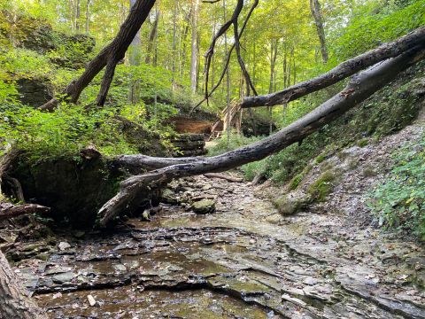 The One Loop Trail In Indiana That's Perfect For A Short Day Hike, No Matter What Time Of Year