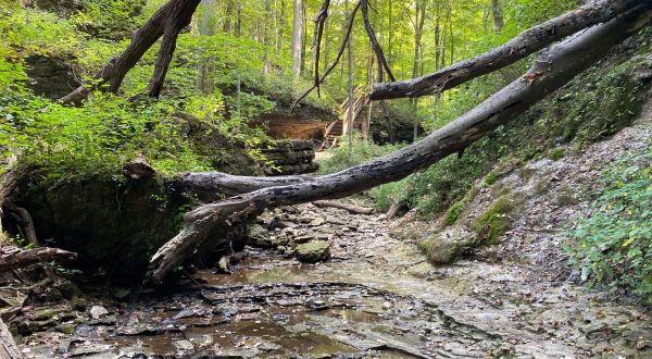 The One Loop Trail In Indiana That’s Perfect For A Short Day Hike, No Matter What Time Of Year