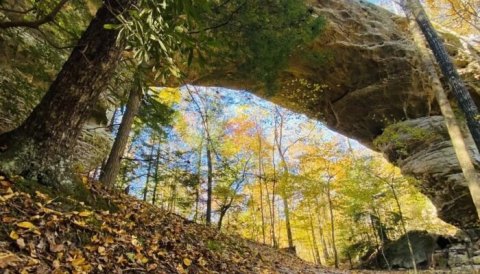 The Gorgeous 5-Mile Hike In Tennessee's Big South Fork Recreation Area That Will Lead You Past Sandstone Arches