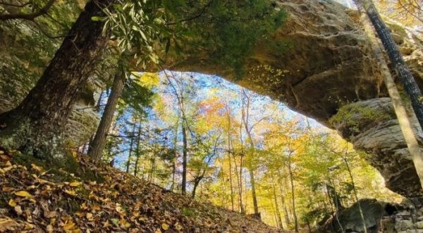 The Gorgeous 5-Mile Hike In Tennessee’s Big South Fork Recreation Area That Will Lead You Past Sandstone Arches