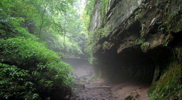 Connect With Mother Nature When You Visit Any Of These 6 Breathtaking Parks In Indiana