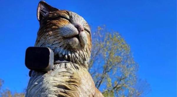 Here’s The Story Behind The Pirate Cat Memorial In Indiana