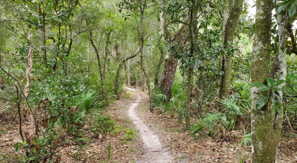 Enjoy The Creekside Hiking Trails At The Doris Leeper Spruce Creek Preserve In Florida