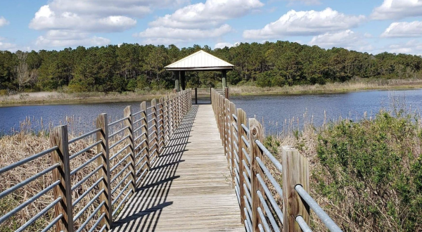Huntington Beach State Park Trail In South Carolina Leads To One Of The Most Scenic Views In The State