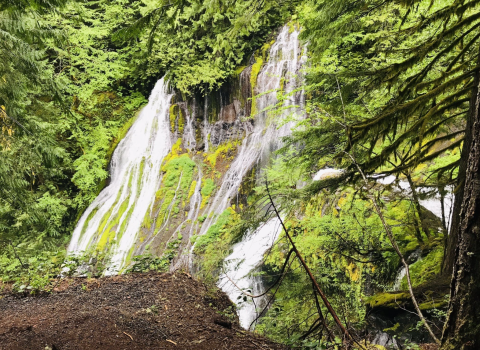 This Washington Waterfall Is So Hidden, Almost Nobody Sees It In Person