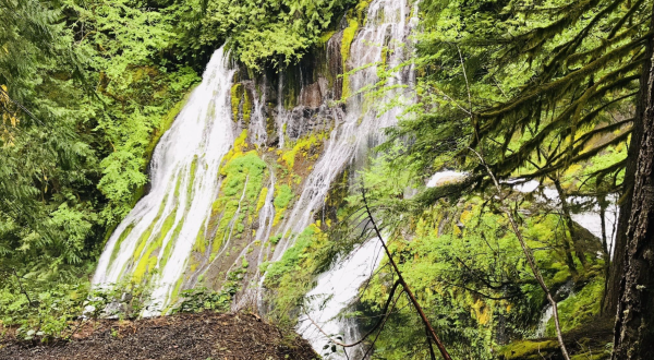 This Washington Waterfall Is So Hidden, Almost Nobody Sees It In Person