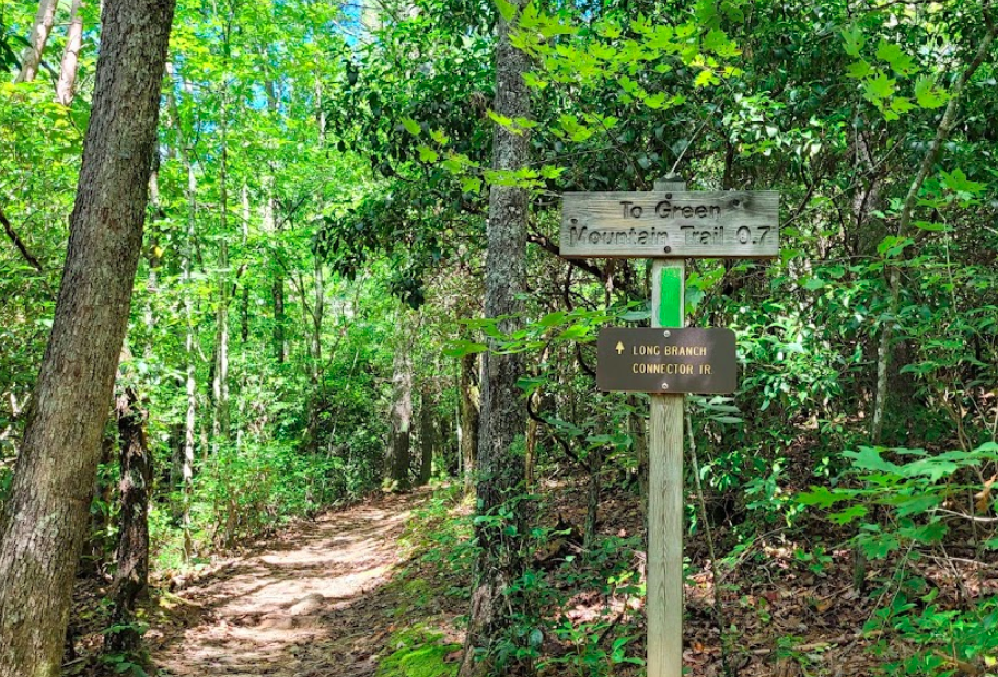 The Long Branch Loop Trail In Georgia Is Perfect For A Short Day Hike