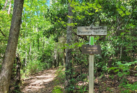 The One Loop Trail In Georgia That's Perfect For A Short Day Hike, No Matter What Time Of Year