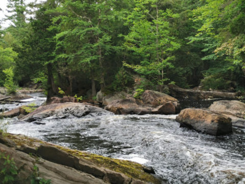 There's A River Hiding In A New York State Forest Where You Can Camp Year-Round
