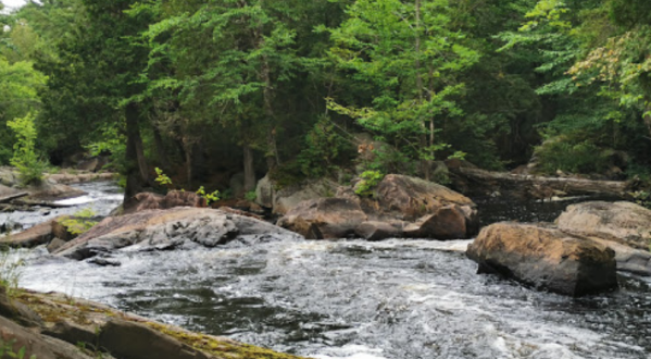 There’s A River Hiding In A New York State Forest Where You Can Camp Year-Round
