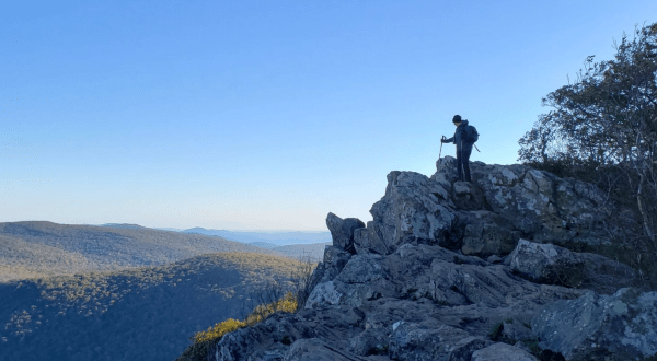 This 3-Mile Trail Has Been Named The Best Hike In Virginia’s Shenandoah National Park