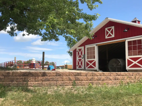 There's An AirBnb On This Goat Farm In Minnesota And You Simply Have To Visit