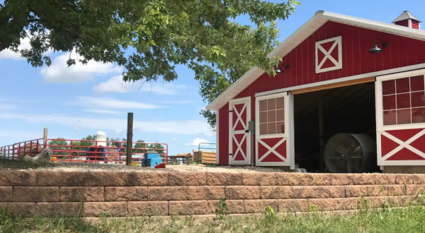 There’s An AirBnb On This Goat Farm In Minnesota And You Simply Have To Visit